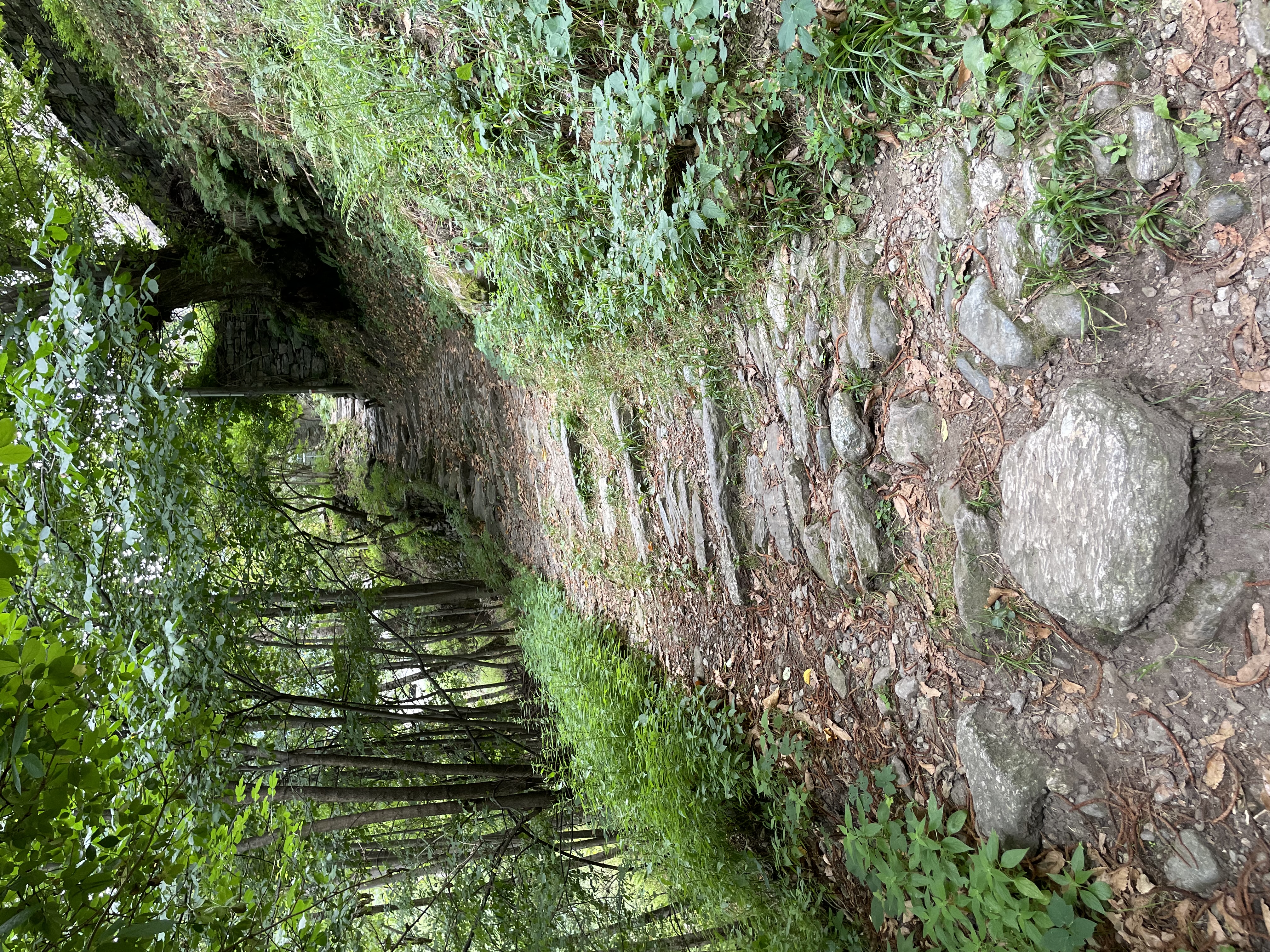 Cheggio Berge